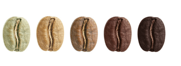 آشنایی و معرفی انواع دانه قهوه