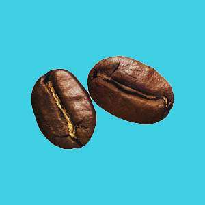 دسته بندی دانه قهوه در ریتون شاپ