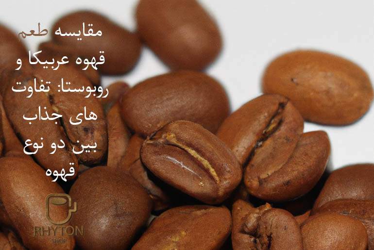 دانه قهوه عربیکا و دانه قهوه روبوستا